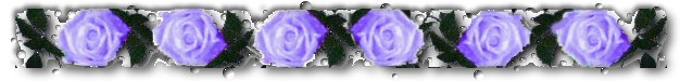 Purple rose divider